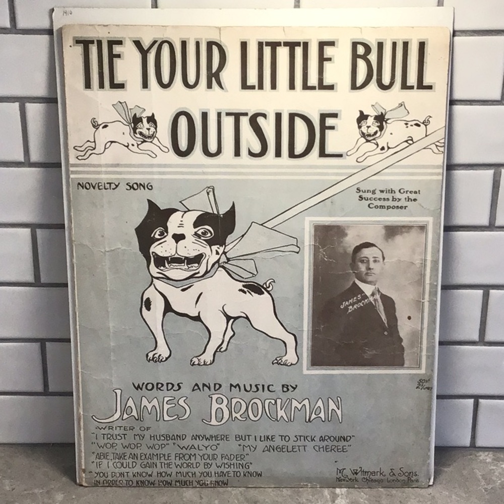 Vintage Sheet Music - Tie Your Little Bull Outside